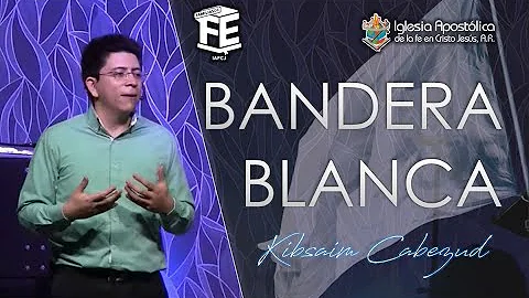 ¿Qué significa una bandera blanca en un barco?