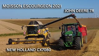 La moisson de l'escourgeon dans le montreuillois !