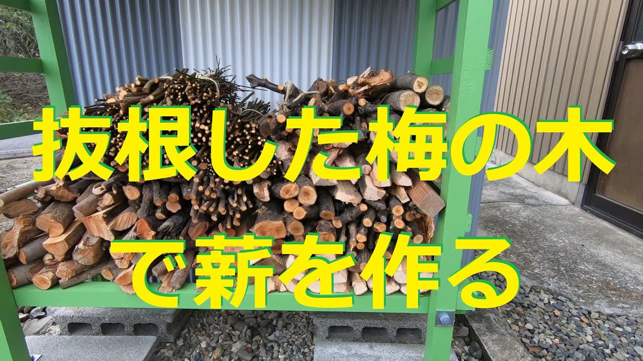 薪（ほぼ梅の枝） 抜根した梅の木で薪を作る - YouTube