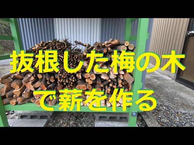 抜根した梅の木で薪を作る - YouTube