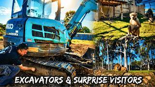 Kobelco Excavator Repair… Then This Happened