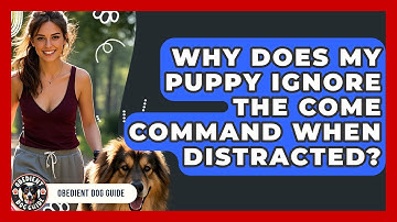 Why Does My Puppy Ignore The Come Command When Distracted? - Obedient Dog Guide
