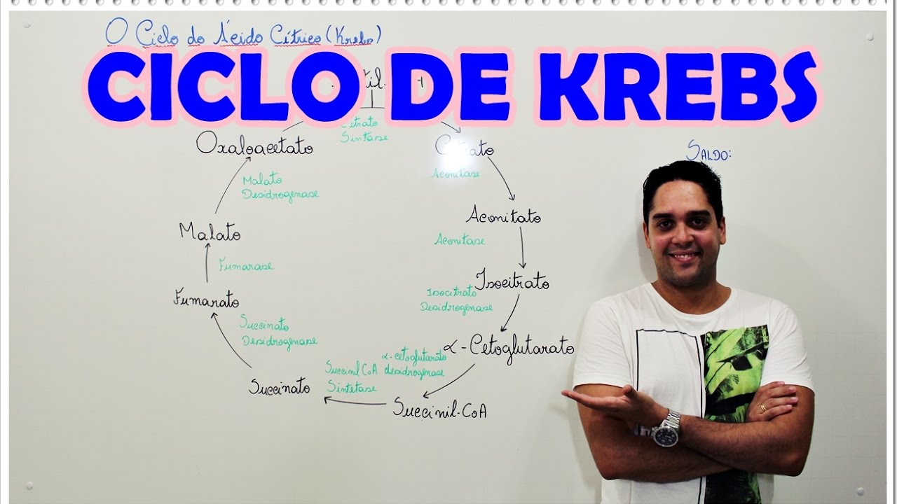 CICLO DE KREBS