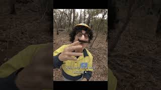 ALCOA loves to mine in National Parks-to-be.  alcoasucks.com.au