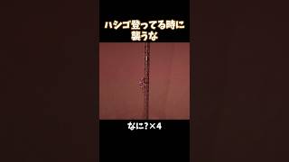 ハシゴ登ってる時に襲うな【The Radio Tower】