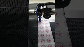 Small-format CCD vision positioning laser cutting