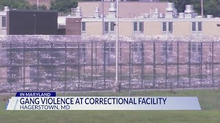 Staffing concerns raised over weekend gang violence at Roxbury Correctional Institution