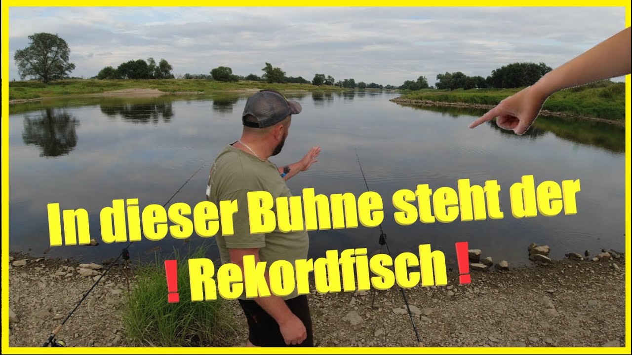 Angeln am Fluss mit Köderfisch und Wurm auf Aal Zander und Wels über ... Angeln am Fluss mit Köderfisch und Wurm auf Aal Zander und Wels über ...