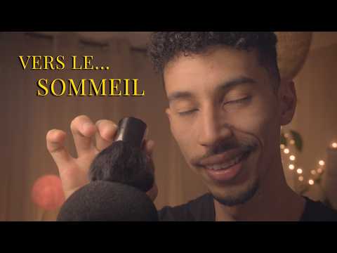 ASMR | Juste un frisson pour s'endormir 💤 (Mic Brushing & Crunch)