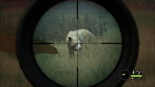The Hunter: Call of the Wild gameplay