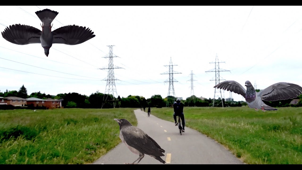 FINCH HYDRO CORRIDOR RECREATIONAL TRAIL NORTH YORK, TORONTO