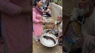 দেশি শোল মাছের কেজি কত? বাজার থেকে জ্যান্ত শোল মাছ কিনলাম! #fishmarket #villagelife #youtubeshorts