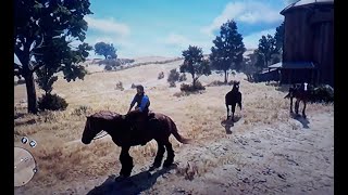 Red Dead Redemption 2 Hidden Dialogue John With Brown Jack At Beecher's Hope