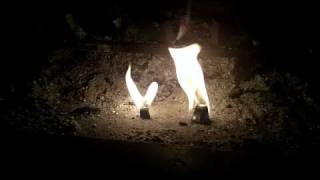 Weber Cube vs Wetfire