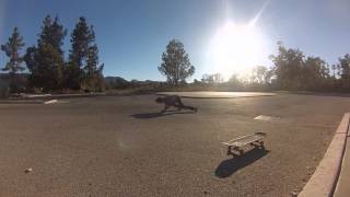 Michaels Gap Bail