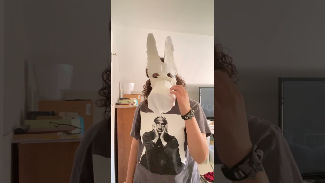 don’t think i did this right lol 