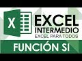 Función Si - Explicación Detallada (Cap. 1 Excel Intermedio)