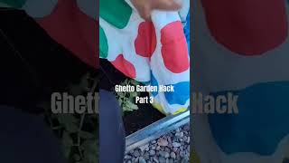 Ghetto Garden Hack Part 3 Frost Hack #gardening #garden #garden2024 #frostdate #lastfrost