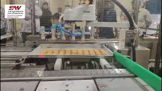Cookies Feeding on Flow Wrap Machine with Scara Robot