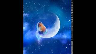 Duxomaniacvishnuenterprises - Moonfox