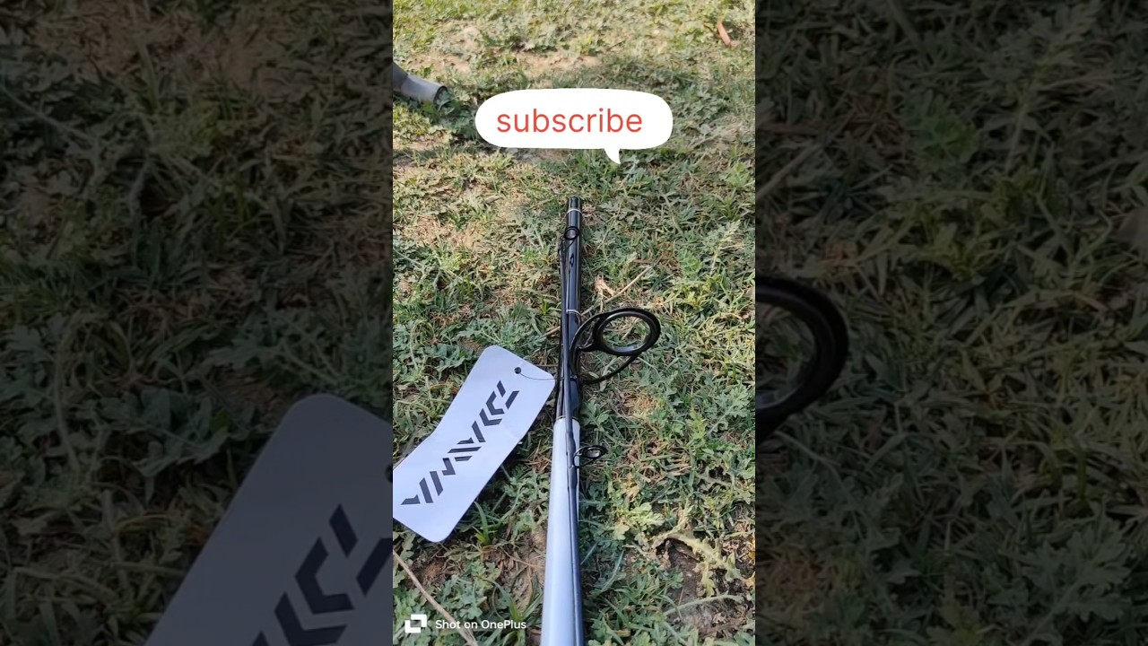 My new rod Daiwa D- wave 