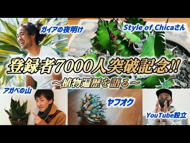 アガベを始めて10年の歩みを語ります‼︎‼︎ - YouTube