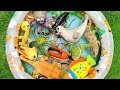 deep blue seas and tiny bugs: tiny crawling insects for kids