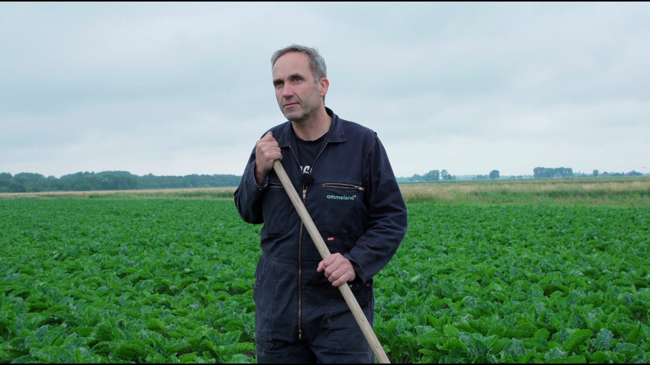 Menko voedt de Stad | Verkorte film