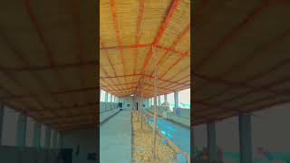 Bamboo Cattle Shed  03122675630 strentgh cattle cow youtubeshortsbamboo viraltrending