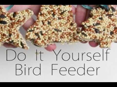 Bird Feeders Kids Can Make The Easy Way To Make A Bird Feeder