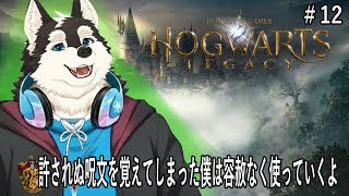 【ゲーム配信】一番持っていけない人物が禁術を覚えて闇落ち