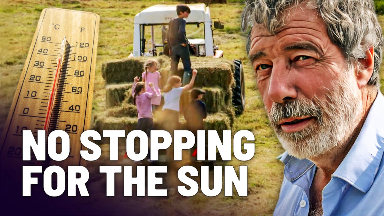 How Our Family Farm Survived The Worst Summer Heatwave Ever ☀️