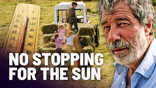 MY BIG FAMILY FARM - EPISODE 3