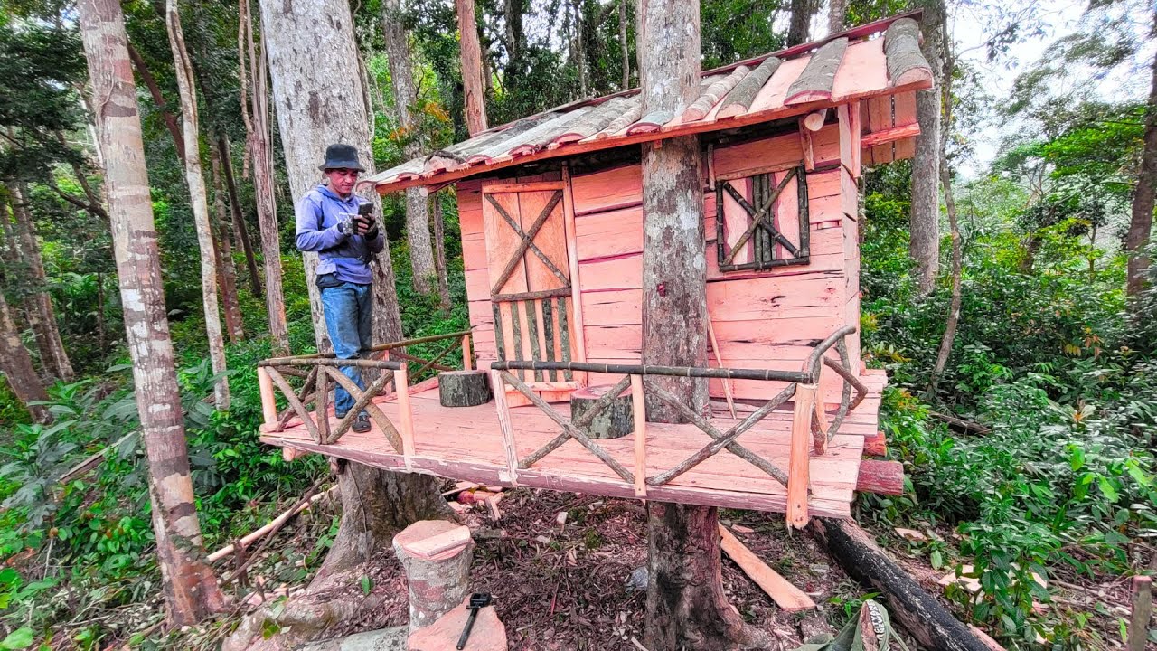build a wooden house in the rainforest as a shelter | bushcraft skills