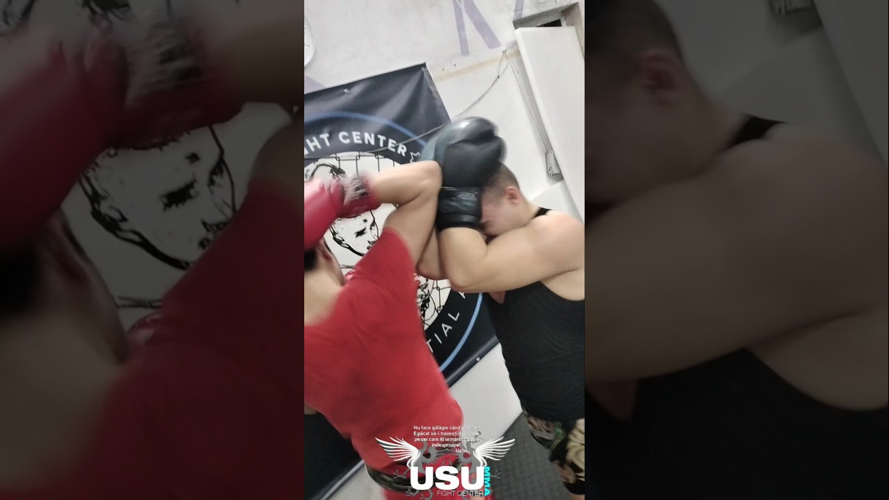 Low Kick+Arms attack+Finish with an ELBOW