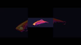 New color on Spearhead Ryuki Vib #fishing #pikewallis #fish #fishinglife #duointernational #trout