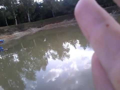 Pêche petit etang perdu part 1🐟🐠