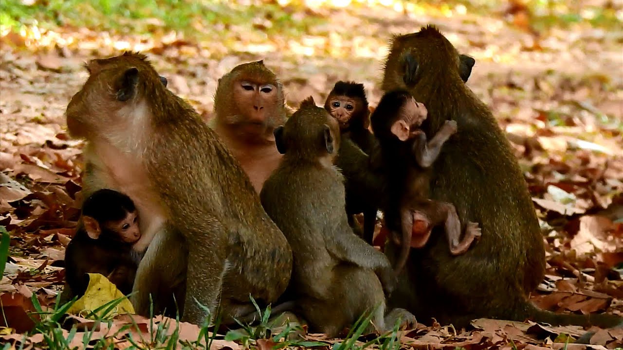 Queen Maria, Jill & Dee Dee mom feels so fearful escaping every day cos no king & leader protecting.