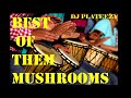 BEST OF THEM MUSHROOMS BEST OF THEM MUSHROOMS