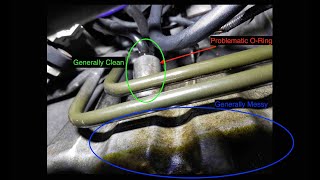 BMW e46 Oil Leak Diagnosis and Repair - Dipstick O-Ring Replacement