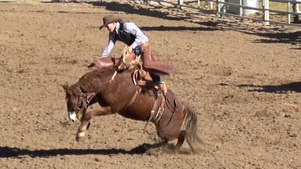 Saddle Bronc Riding Military Rodeo Saturday November 2024 Lake Havasu ...
