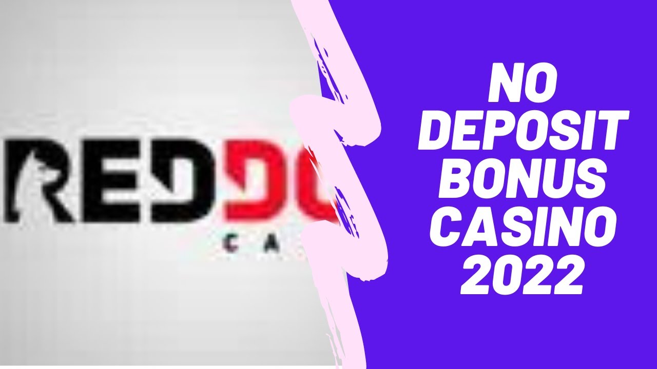 No Deposit Bonus Casino 2022 | Red Dog Casino