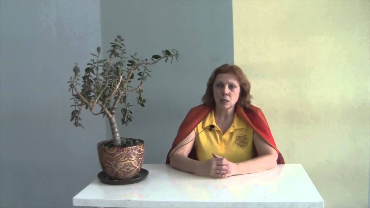 Отзыв на модуль по Йога терапии ССС Светлана Звездная апрель 2016