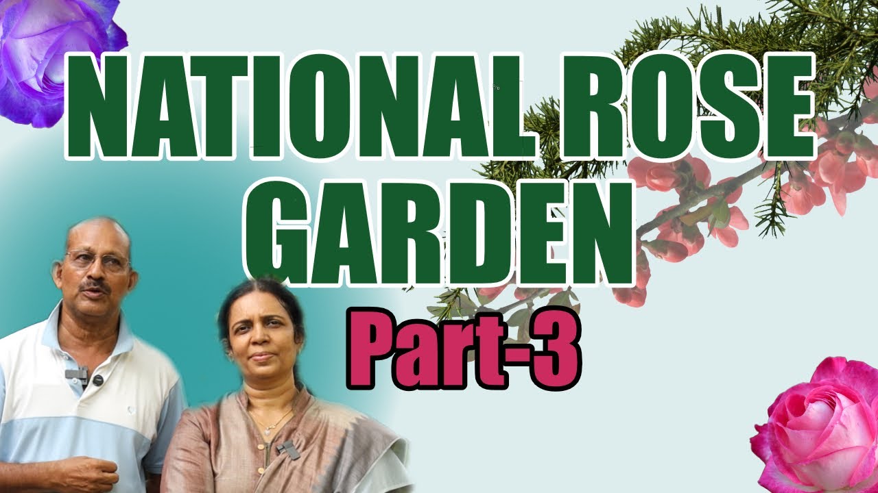 Part-3 കേരളത്തിലെ ഏറ്റവും വലിയ മാതൃവൃക്ഷ തോട്ടം ഉള്ള നഴ്സറി Tour | NATIONAL ROSE GARDEN |