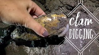 CLAM DIGGING | Longbeach Washington