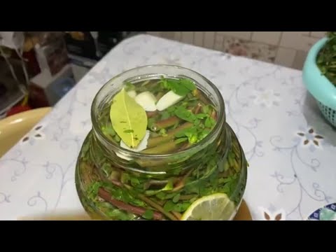 Маринованный портулак на зиму! / Pickled Purslane for the Winter!