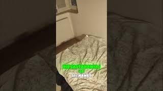 Yeelight Smart Night Light Intelligent #lamp #viral #diy #dc #ikea #home #reels #roomtour #alarm