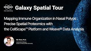 Mapping Immune Organization in Nasal Polyps  Precise Spatial Proteomics