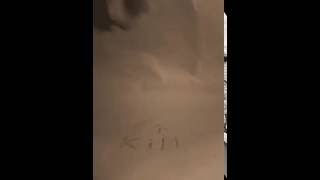 Fuck the dog 0.4