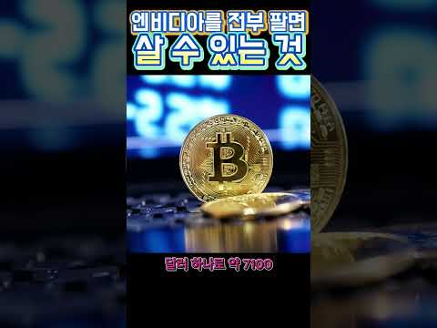 엔비디아 전량 매도하면 살 수 있는 물건은?#엔비디아 #NVDA #미국주식 #주식꿀팁 #주식쇼츠 #AI주식
